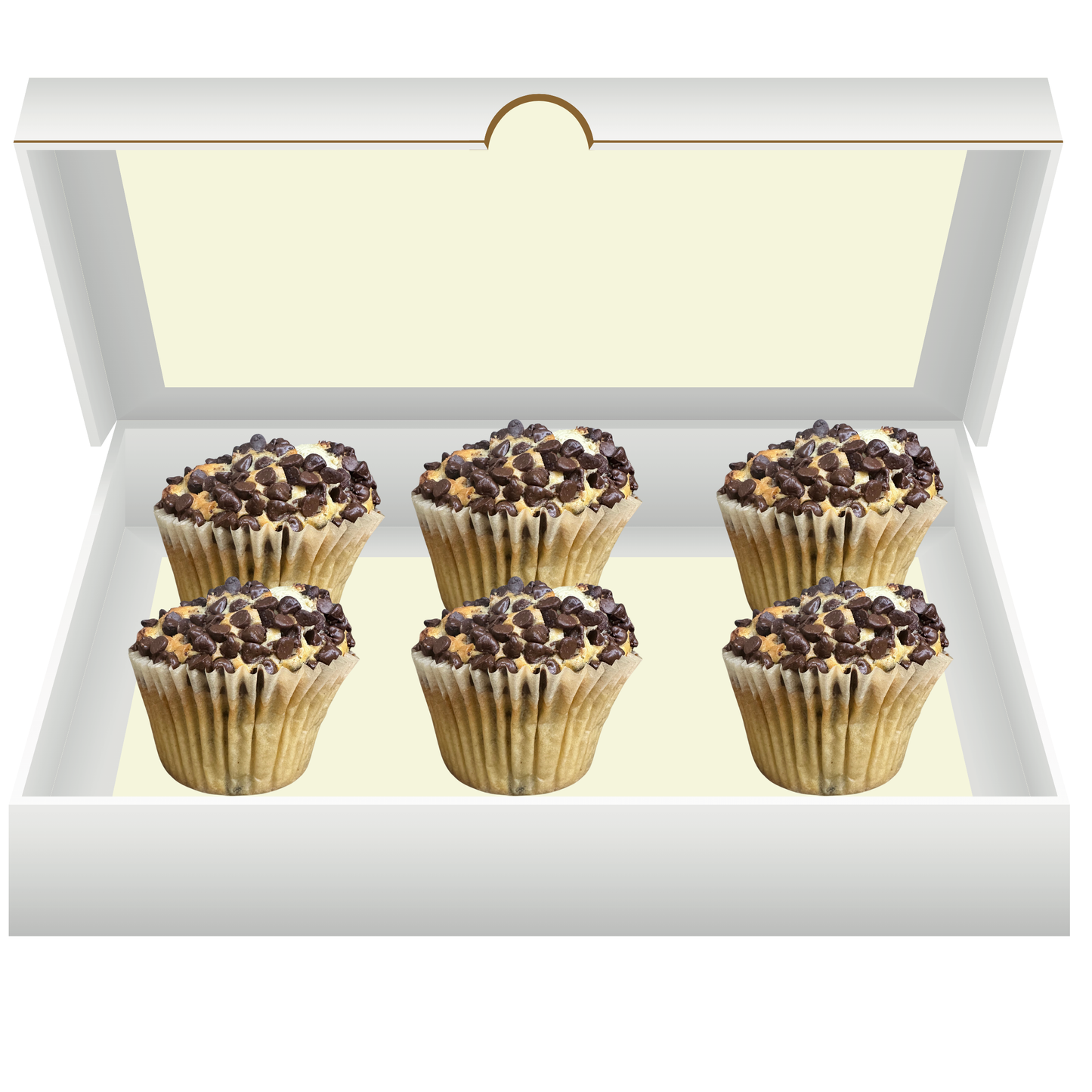 Muffin 6 Pack
