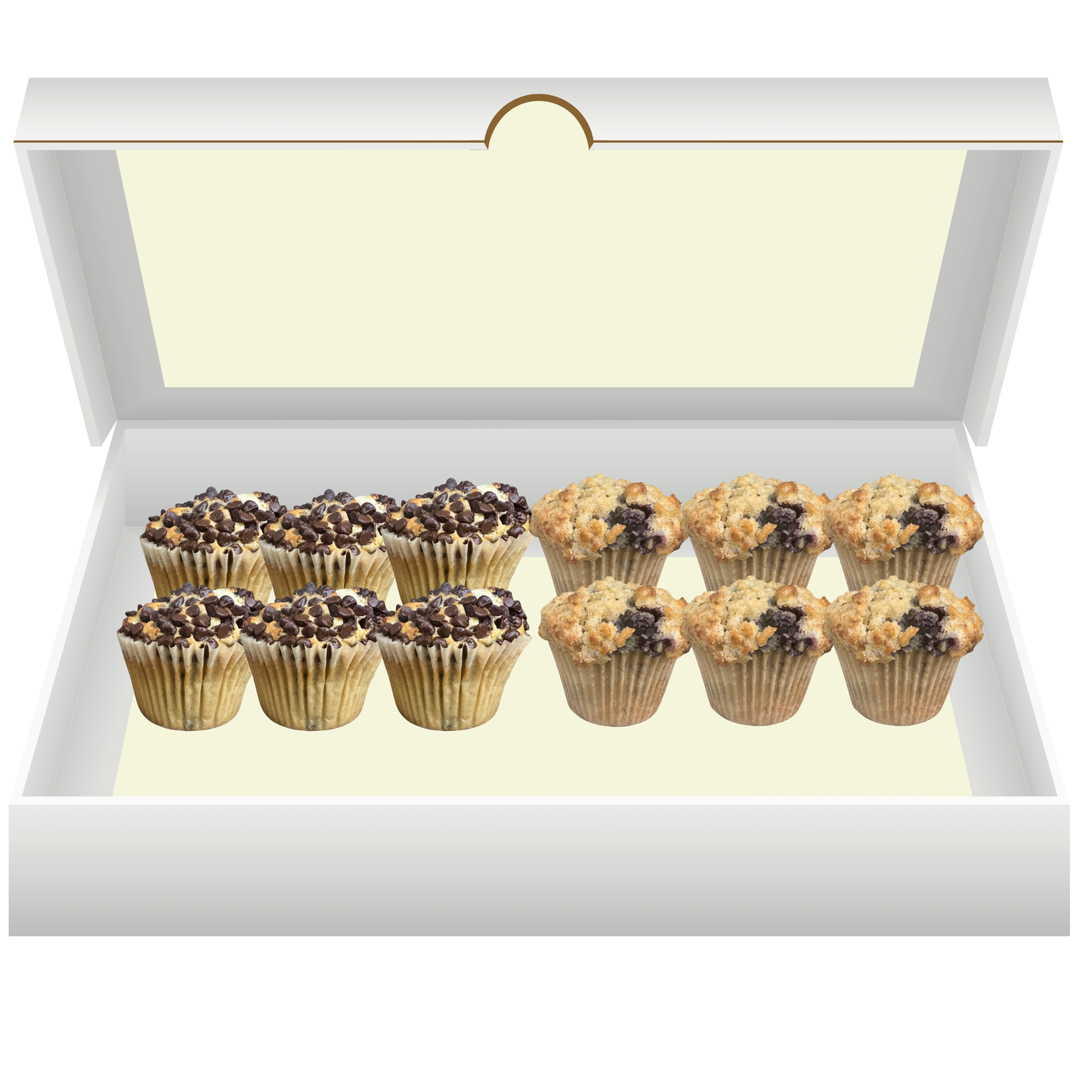 Muffin 12 Pack